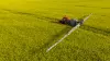 Photo of the ARTEC F40 EVO self-propelled sprayer in a rapeseed field