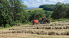 KUHN FB 3125 fixed round baler is baling round bales of silage in a field with large swaths